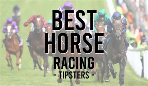 best horse racing tipsters|Who Are The Most Successful Horse Racing Tipsters .